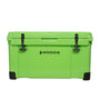 Parrot Green